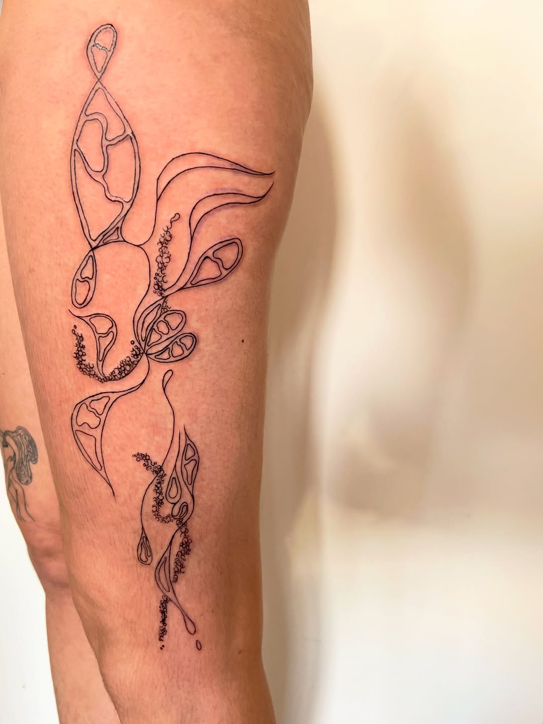 Univers artistique BOU BOU Inkworld